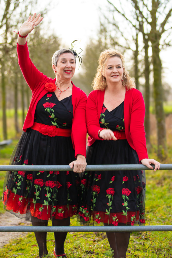Die Liedjes muziekduo