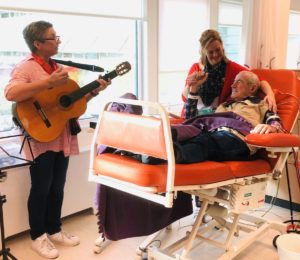 Die Liedjes muziekduo