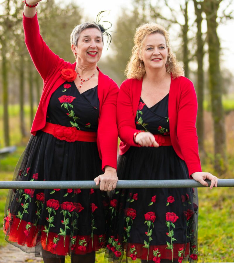 Die Liedjes muziekduo